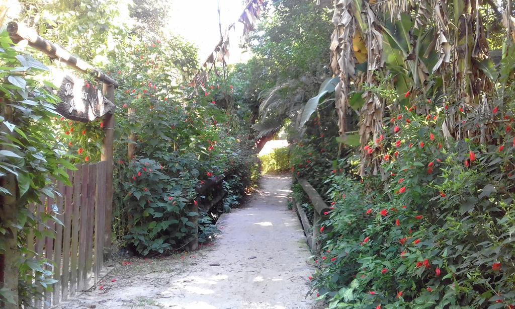 Pousada e Camping Paraíso dos Golfinhos Ilha do Mel Exterior foto